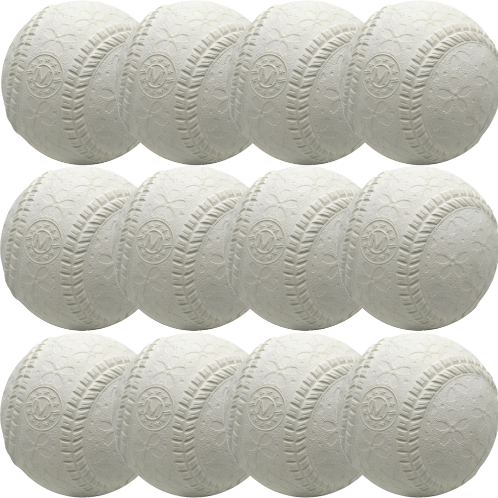 [AN-001] 알펙스 연식구 1타 (12개)