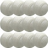 [AN-001] 알펙스 연식구 1타 (12개)